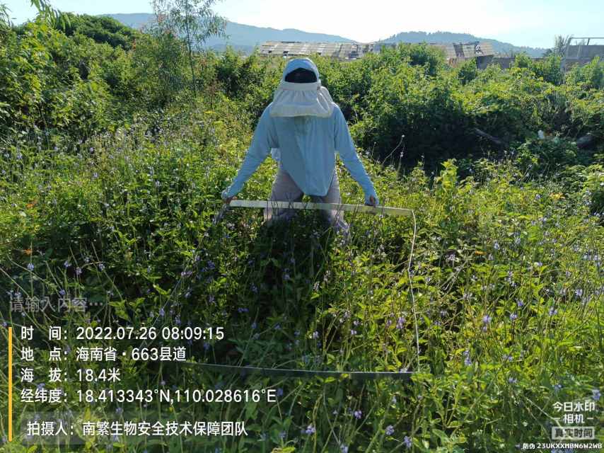 请输入内容…