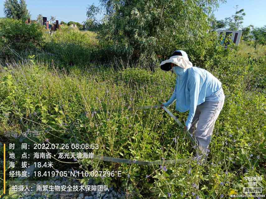 请输入内容…