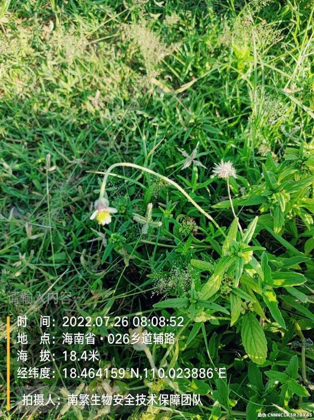 请输入内容…
