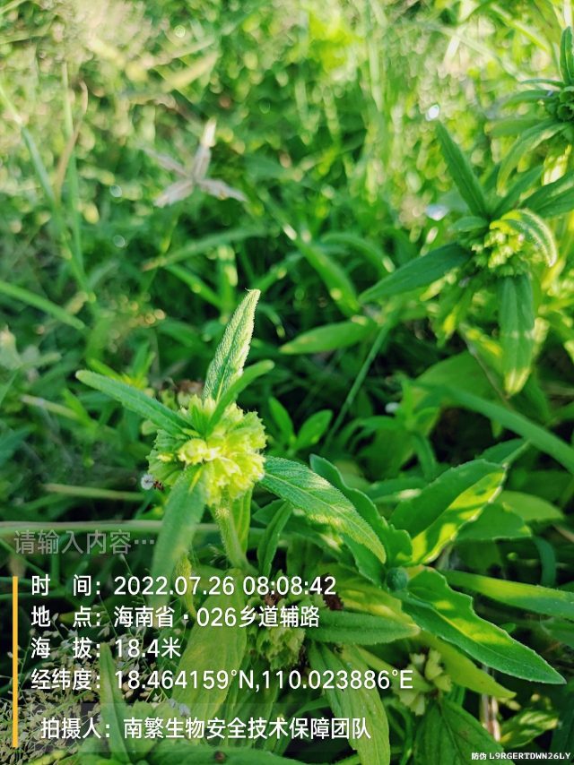 请输入内容…