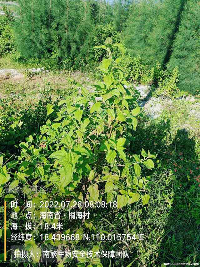 请输入内容…