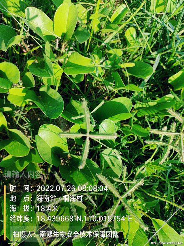 请输入内容…