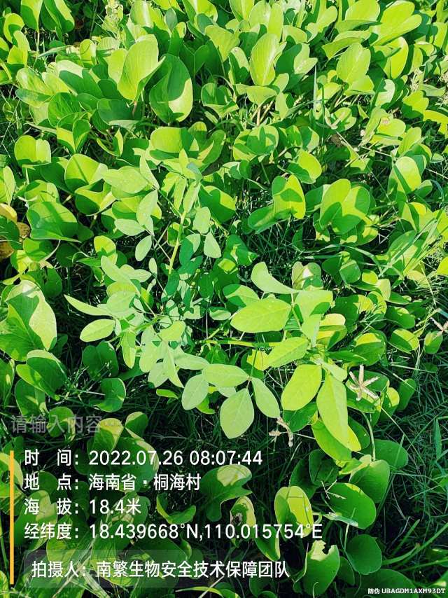 请输入内容…