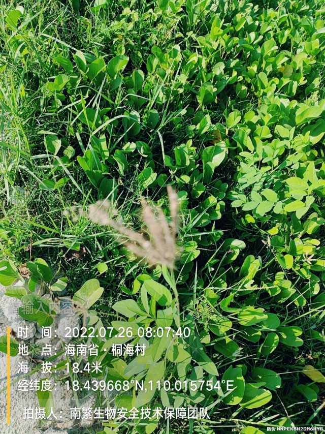 请输入内容…