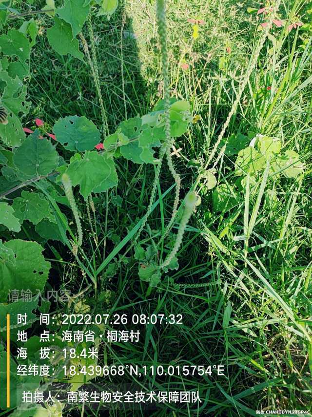 请输入内容…