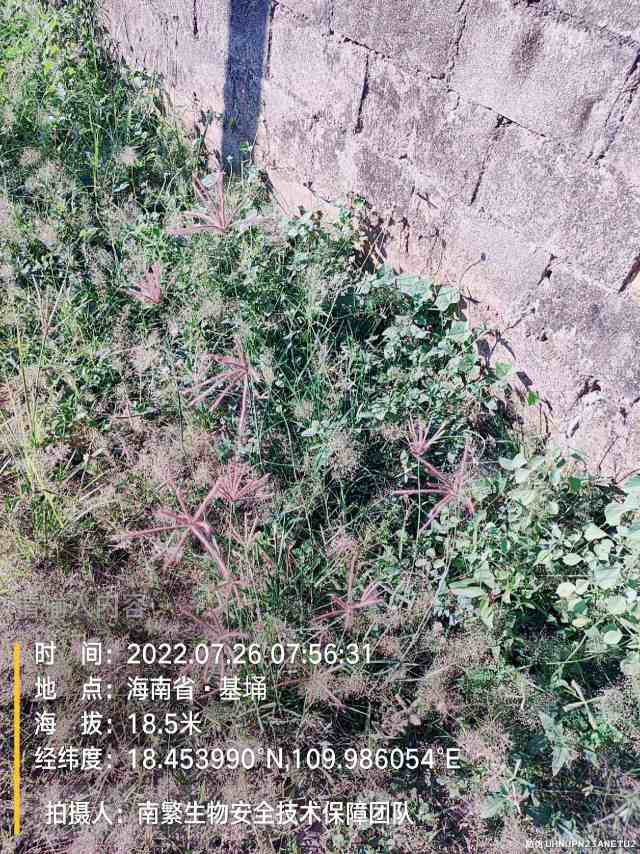 请输入内容…