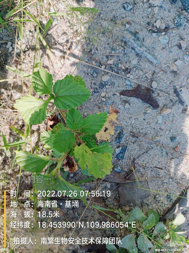 请输入内容…