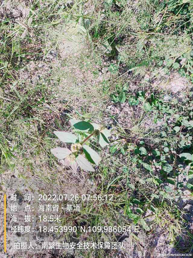 请输入内容…