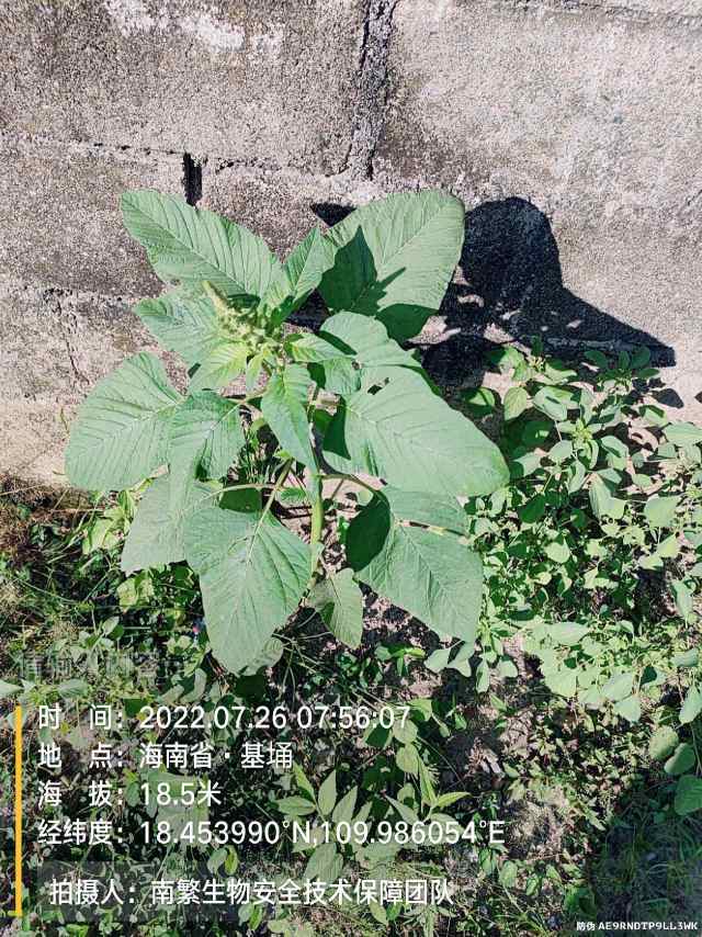 请输入内容…
