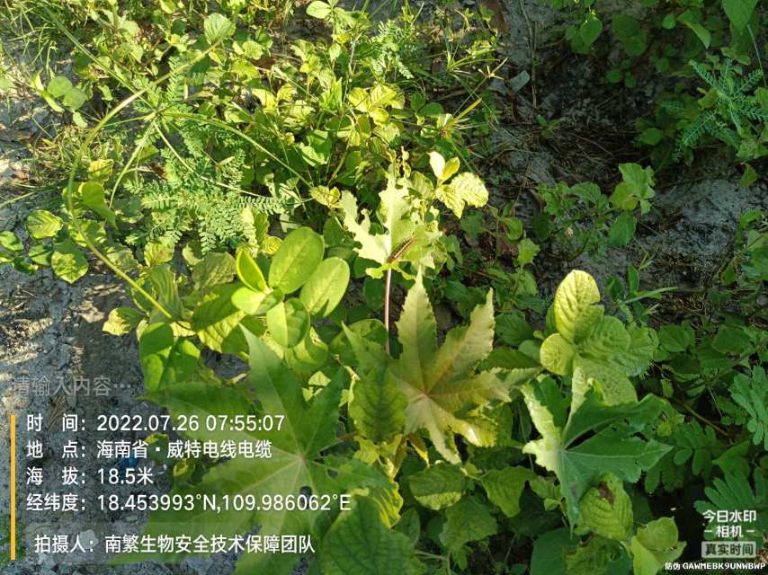 请输入内容…