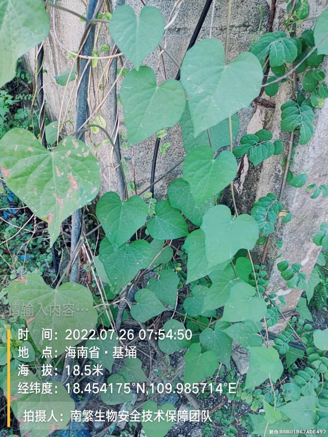请输入内容…