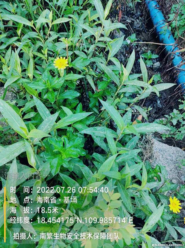 请输入内容…