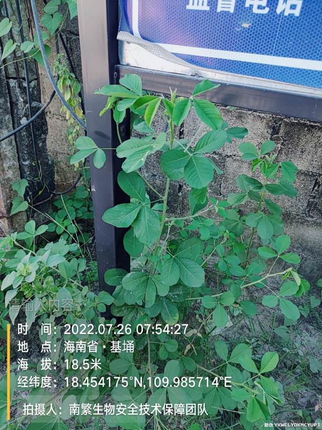 请输入内容…