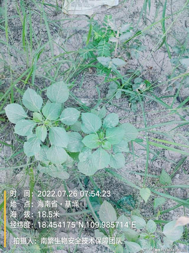 请输入内容…