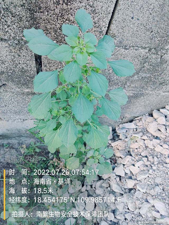 请输入内容…
