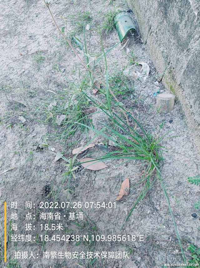 请输入内容…
