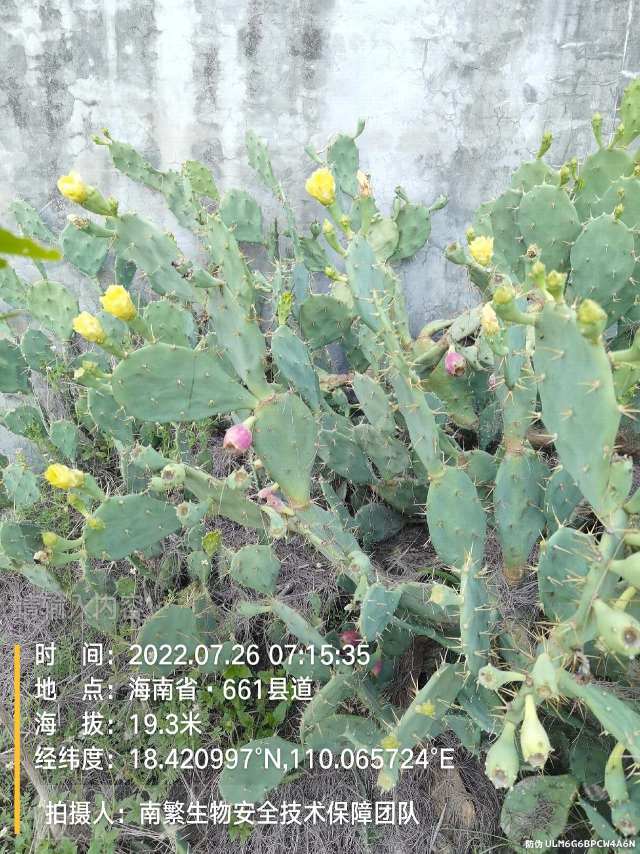 请输入内容…