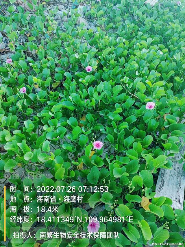 请输入内容…