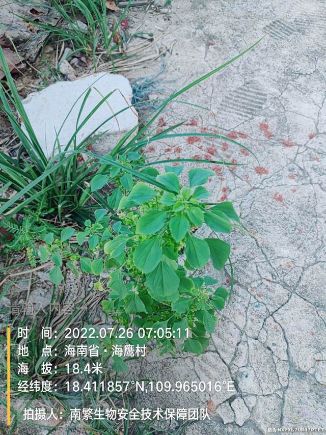 请输入内容…