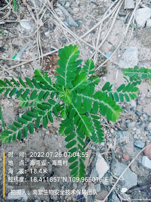请输入内容…