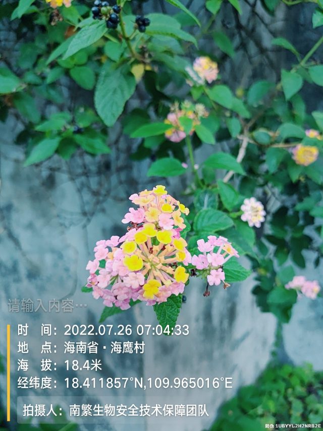 请输入内容…