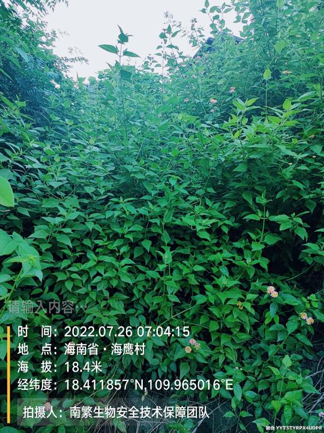 请输入内容…