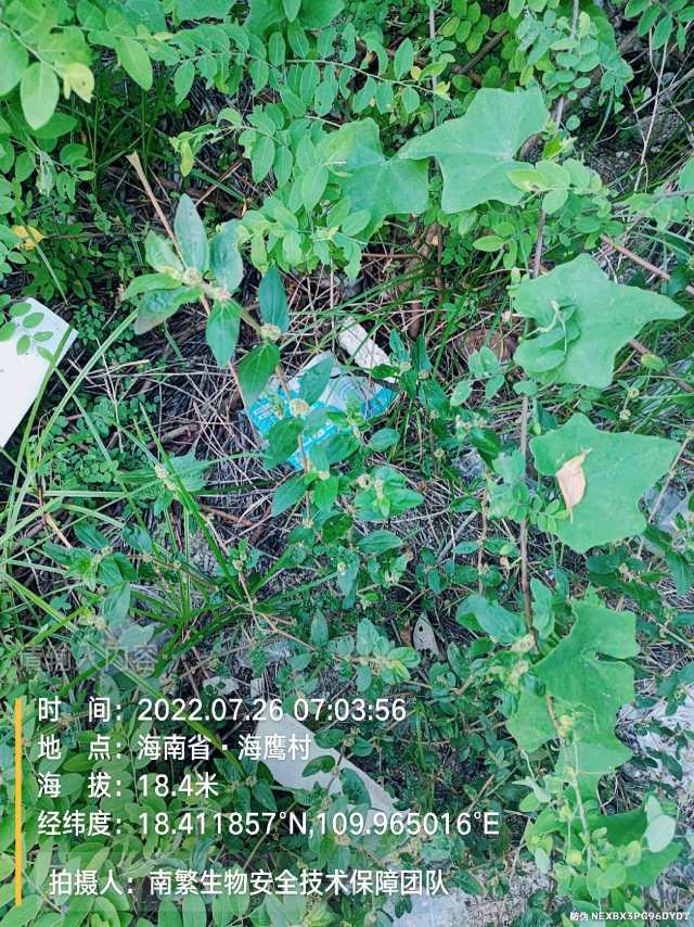 请输入内容…