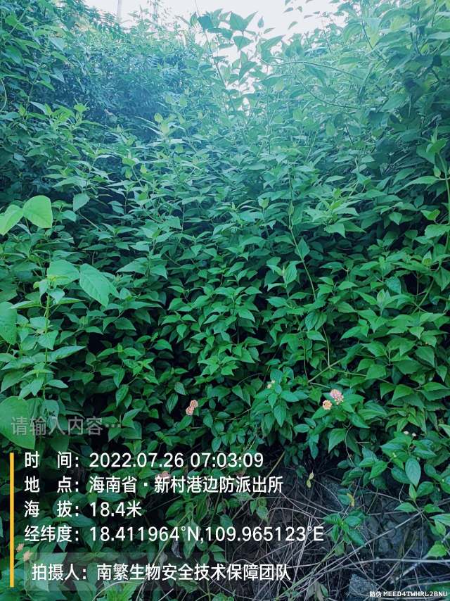 请输入内容…