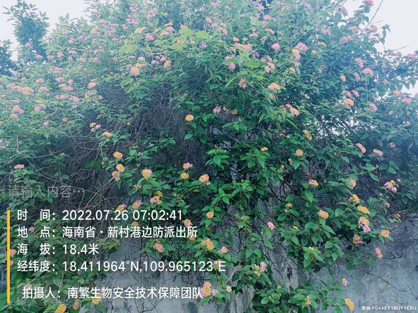 请输入内容…