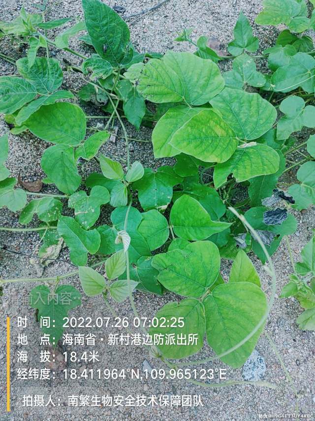 请输入内容…