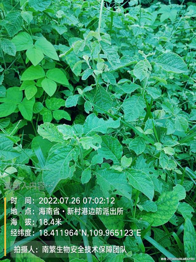 请输入内容…