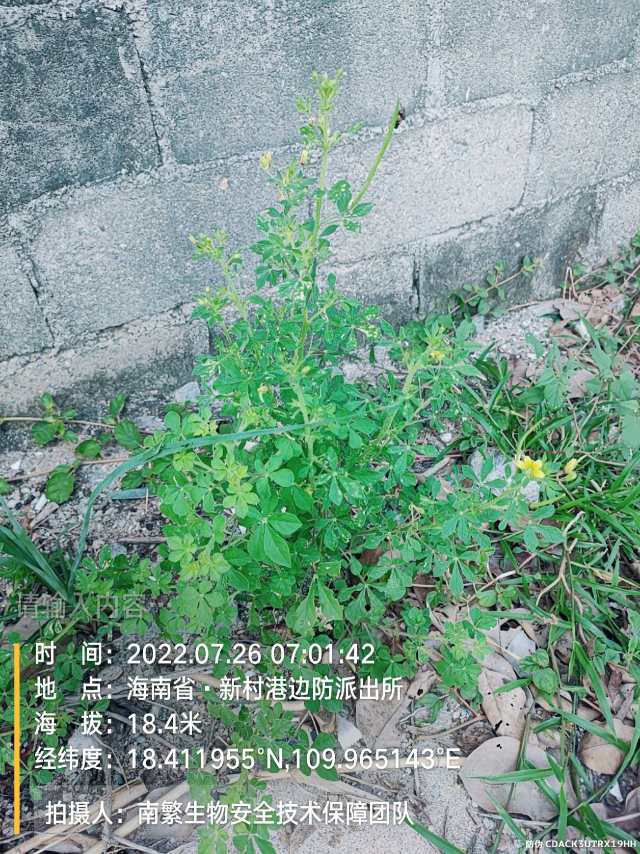 请输入内容…