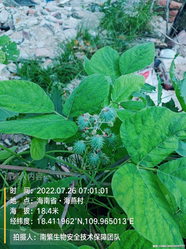 请输入内容…