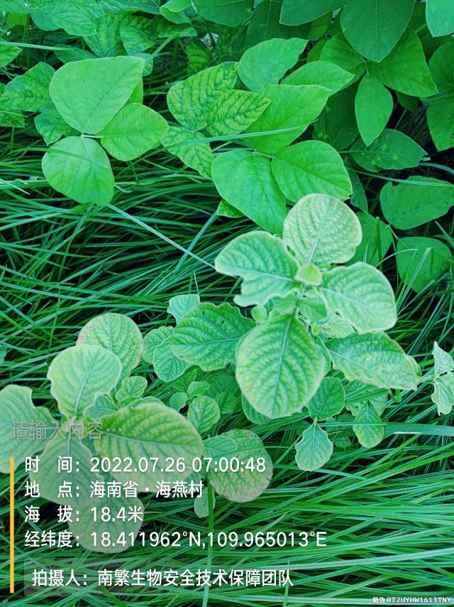 请输入内容…