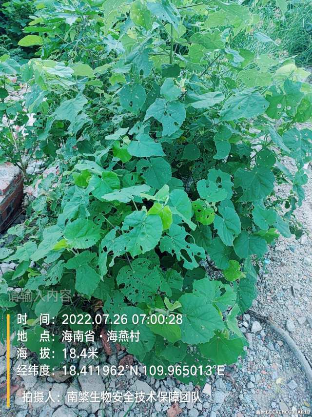 请输入内容…