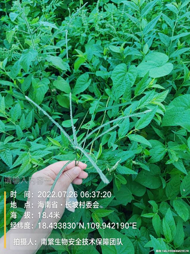 请输入内容…