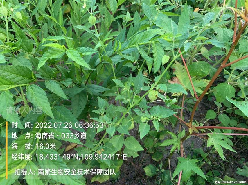 请输入内容…