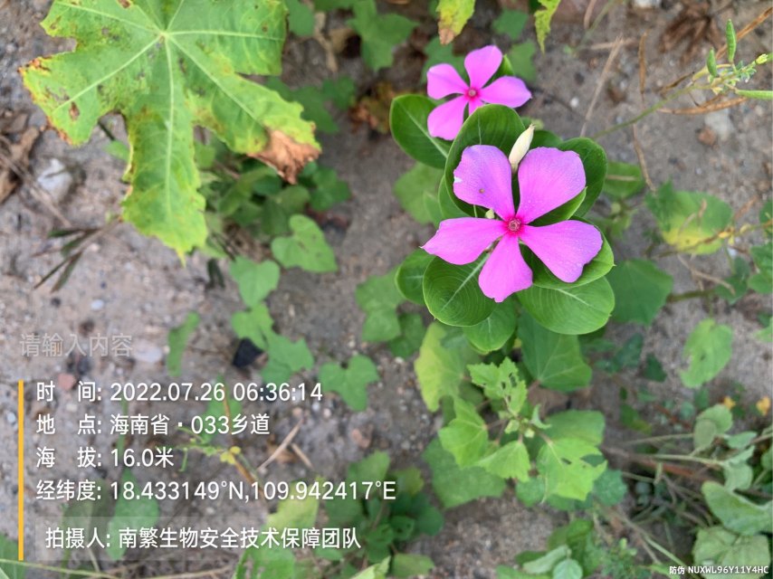 请输入内容…