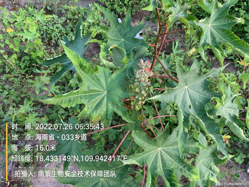 请输入内容…