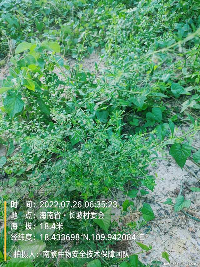 请输入内容…