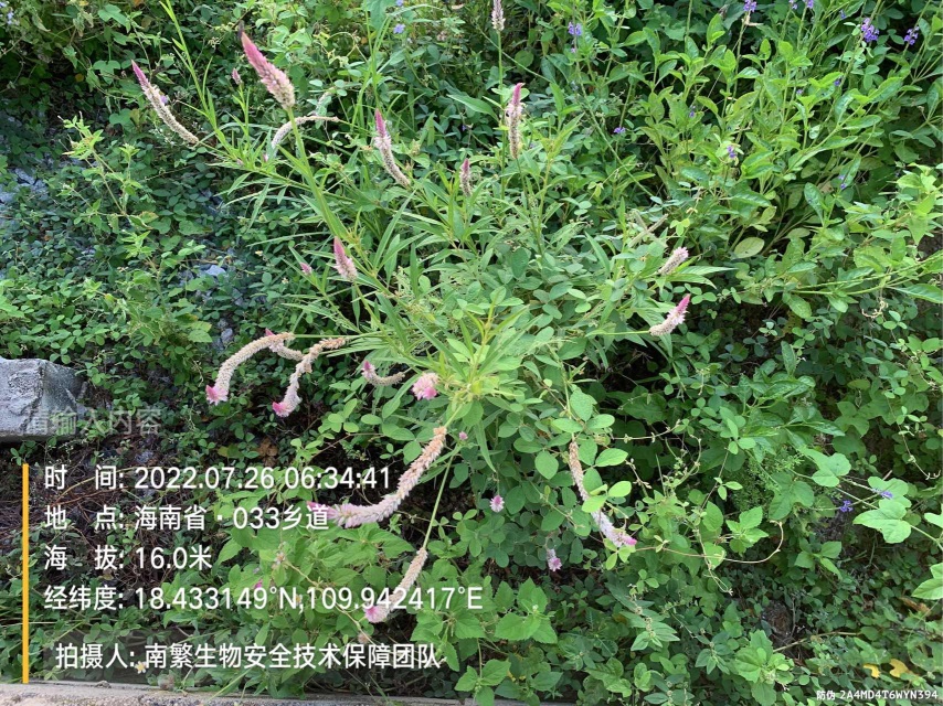 请输入内容…