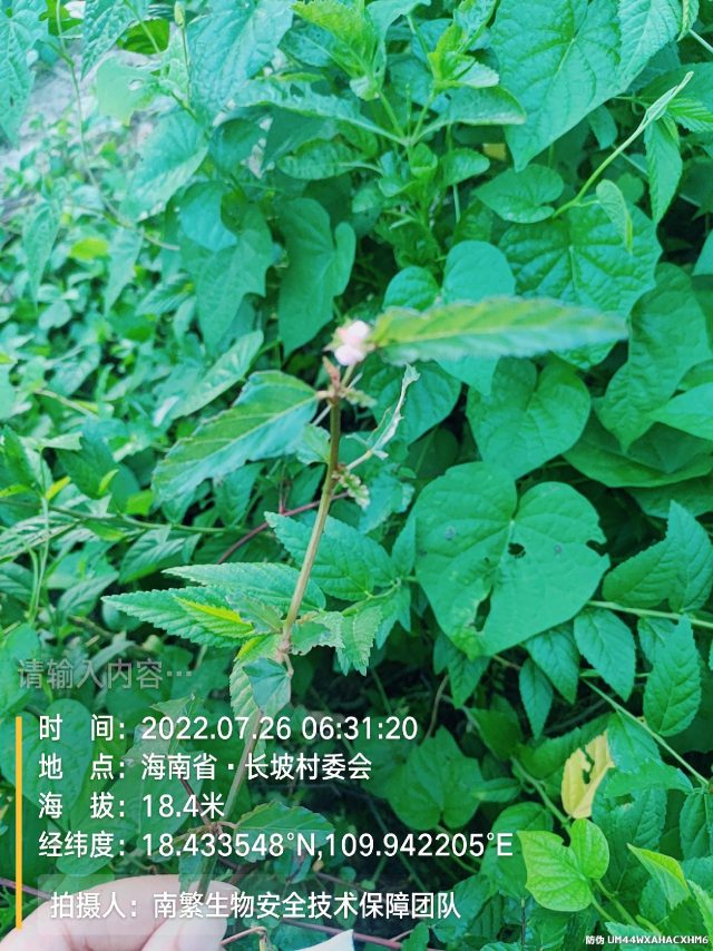 请输入内容…