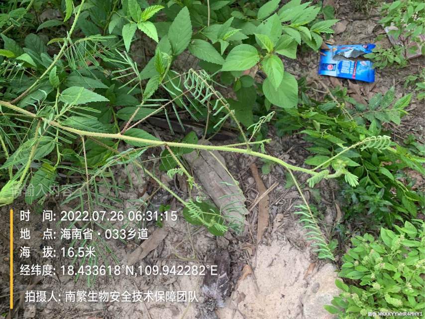 请输入内容…
