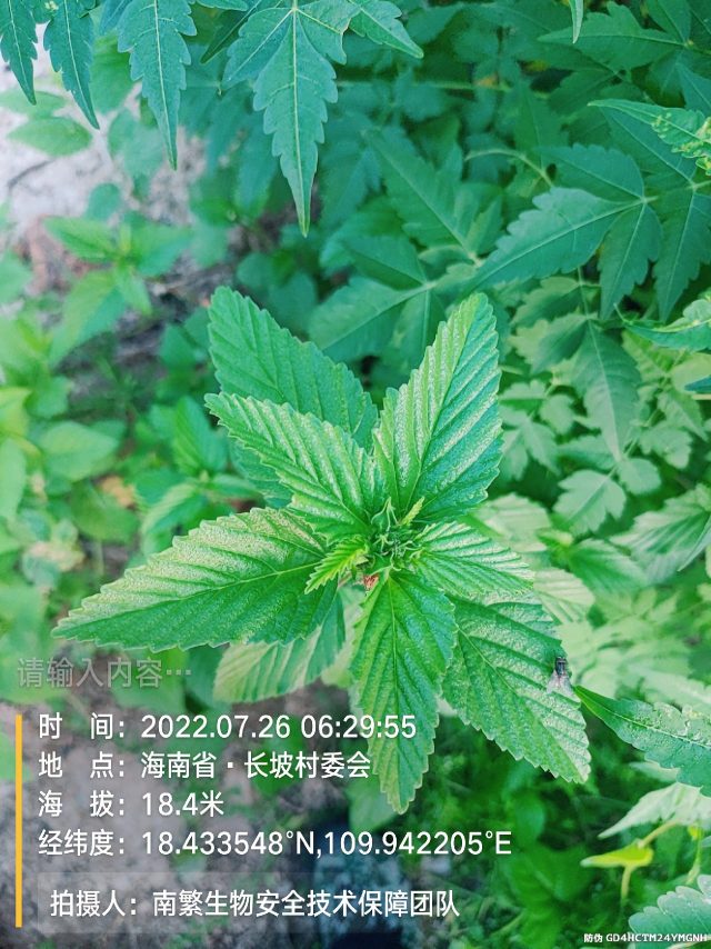 请输入内容…