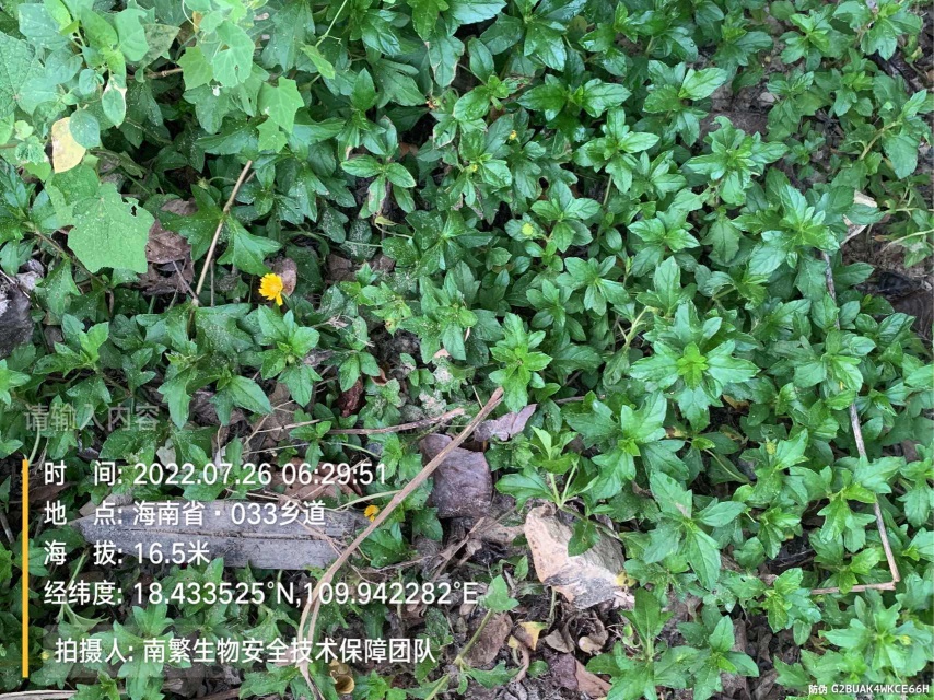 请输入内容…