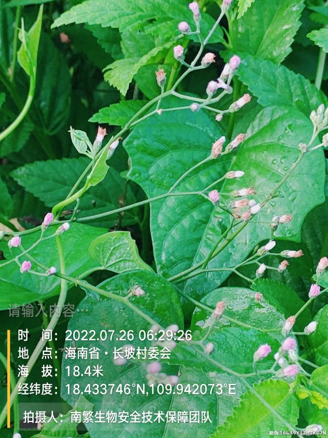 请输入内容…