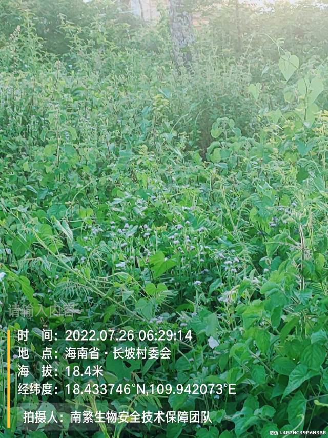 请输入内容…