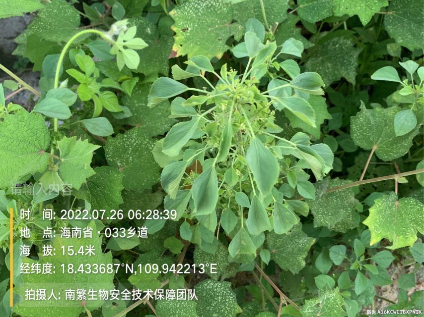 请输入内容…