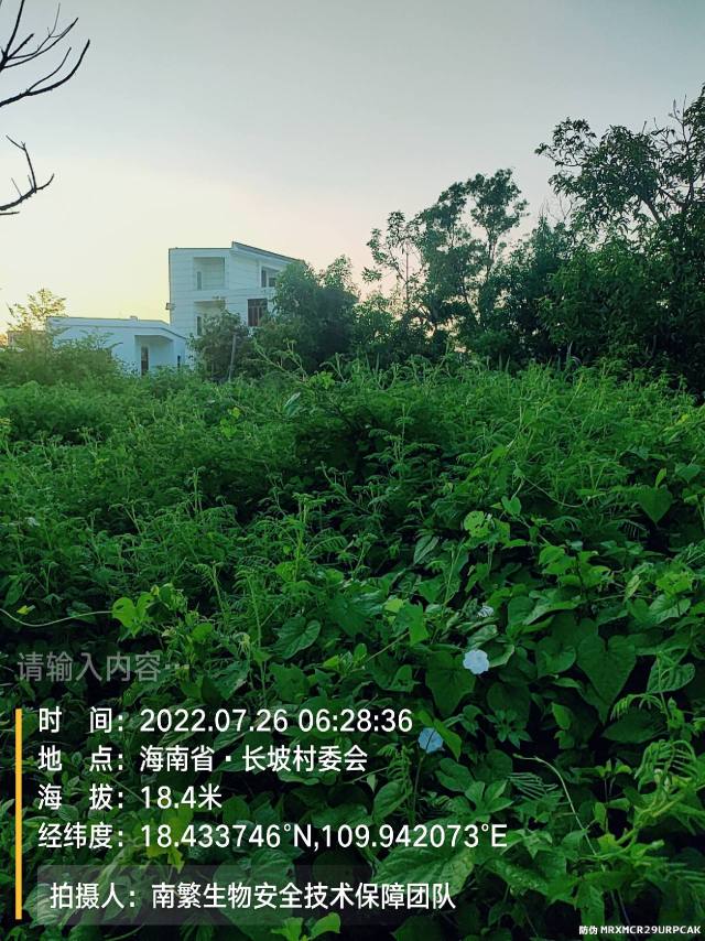请输入内容…