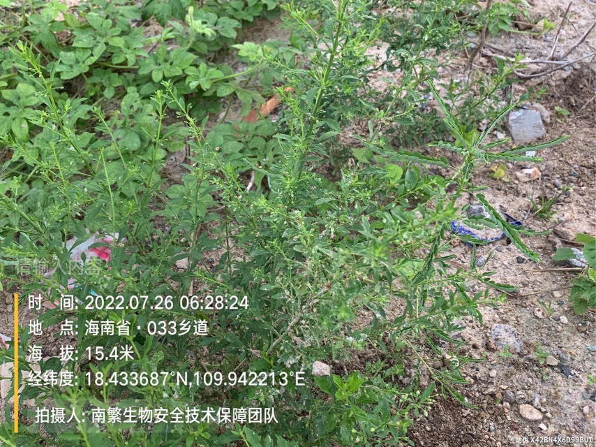 请输入内容…